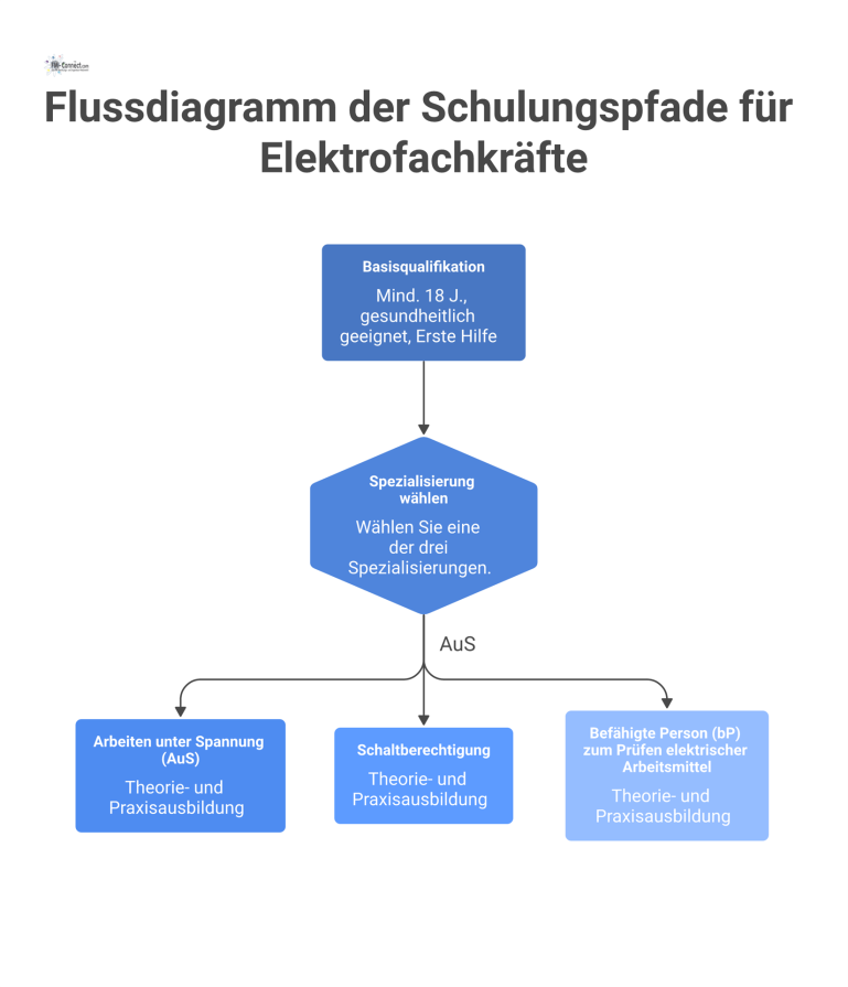 Flussdiagramm der Schulungspfade für Elektrofachkräfte Flussdiagramm, das die Schulungspfade für Elektrofachkräfte darstellt, ausgehend von einer Basisqualifikation, die sich in drei verschiedene Spezialisierungen verzweigt.